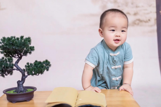 西藏可爱的企鹅宝宝